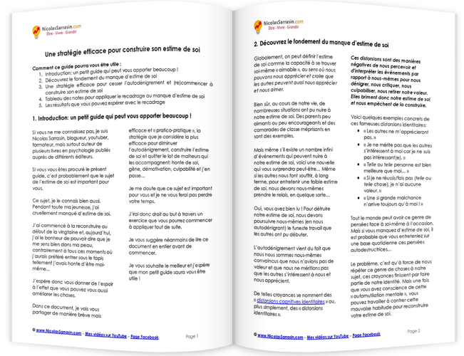 Petit Cahier D Exercices D Estime De Soi Pdf Gratuit