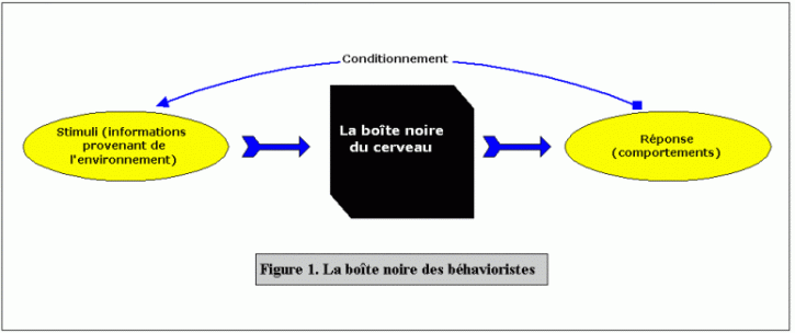 La boîte noire des béhavioristes en psychologie