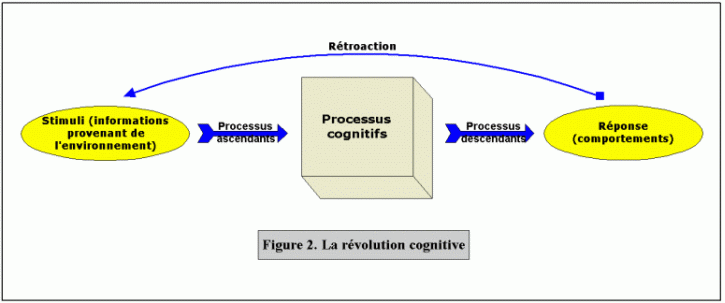 Les processus cognitifs en psychologie